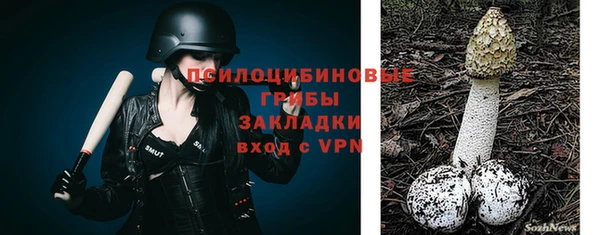 прущая мука Надым
