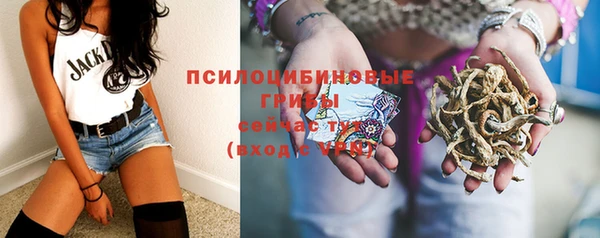 прущая мука Надым